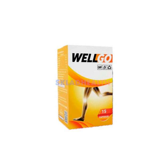 Thuốc chữa viêm khớp Wellgo Ở Việt Nam